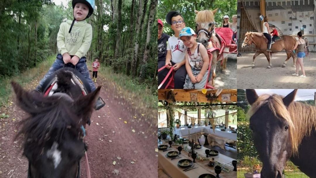 Ecuries Leseigneur - Camping Insolites Bolleville  Экстерьер фото